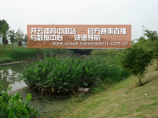 案例展示四(图1)