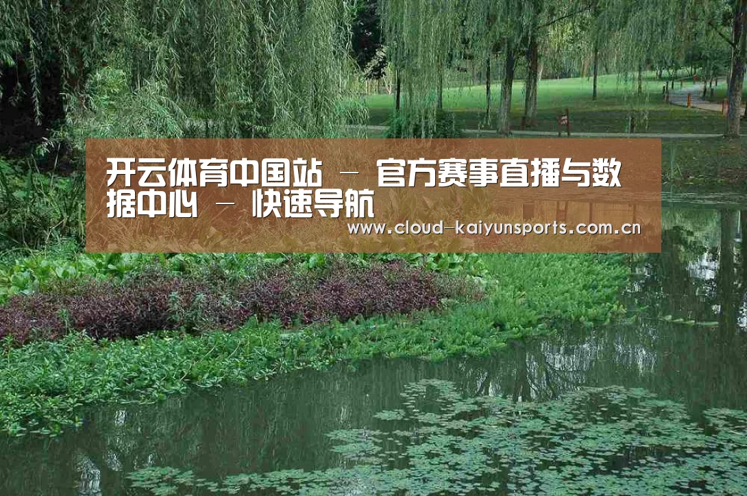案例展示一(图1)