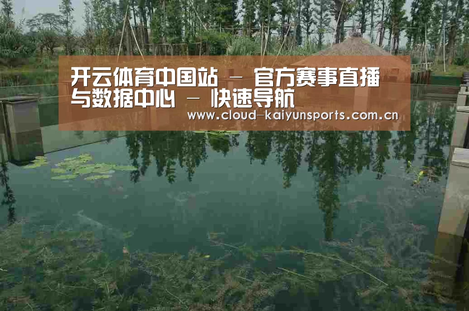 案例展示二(图1)