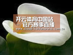 产品名称七