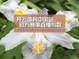 产品名称二