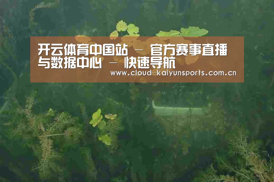 案例展示三