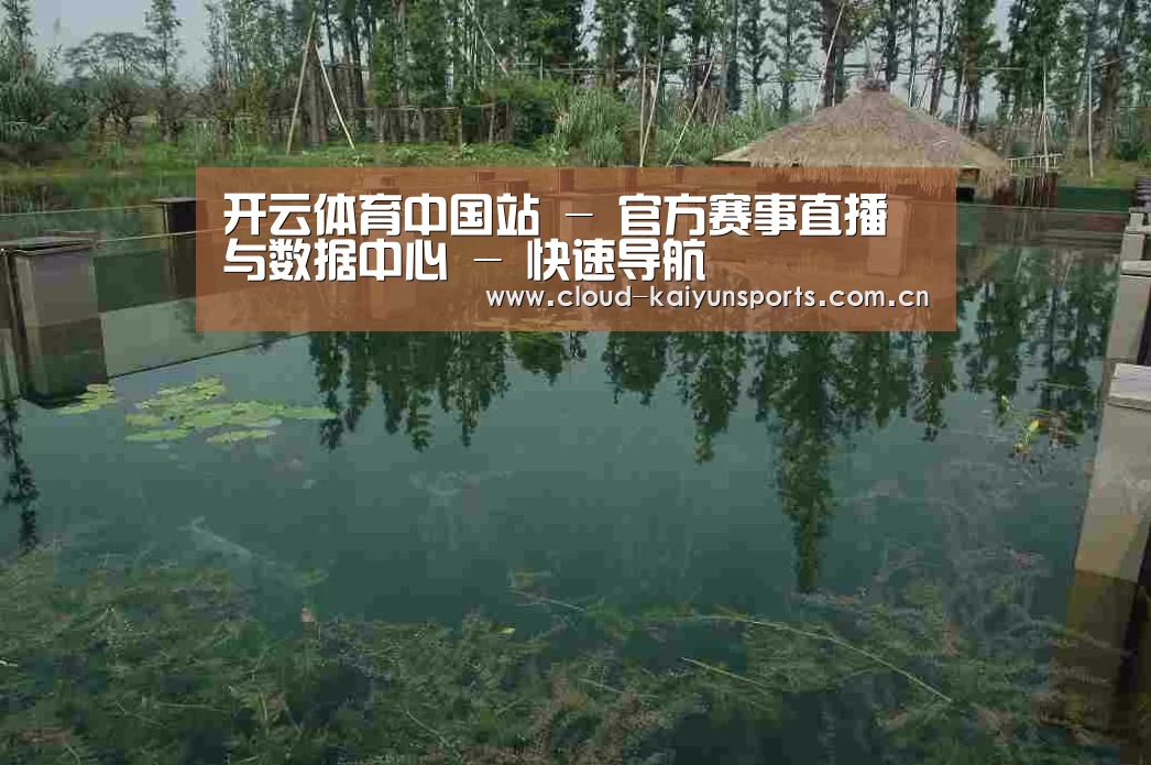 案例展示二
