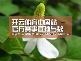 产品名称三