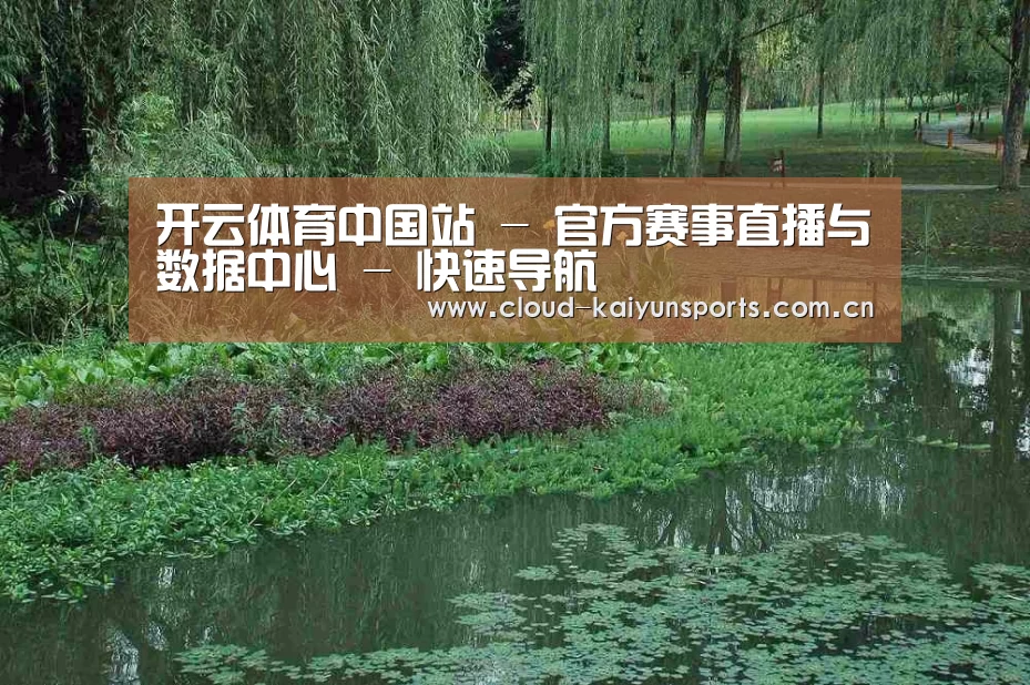 案例展示一
