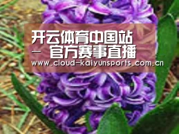 产品名称八