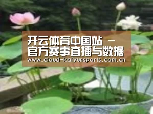 产品名称一