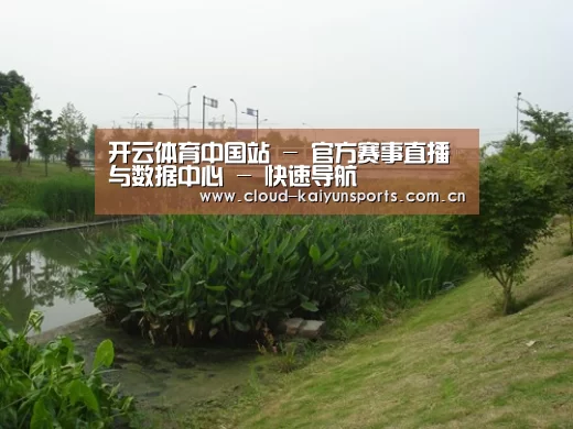 案例展示四