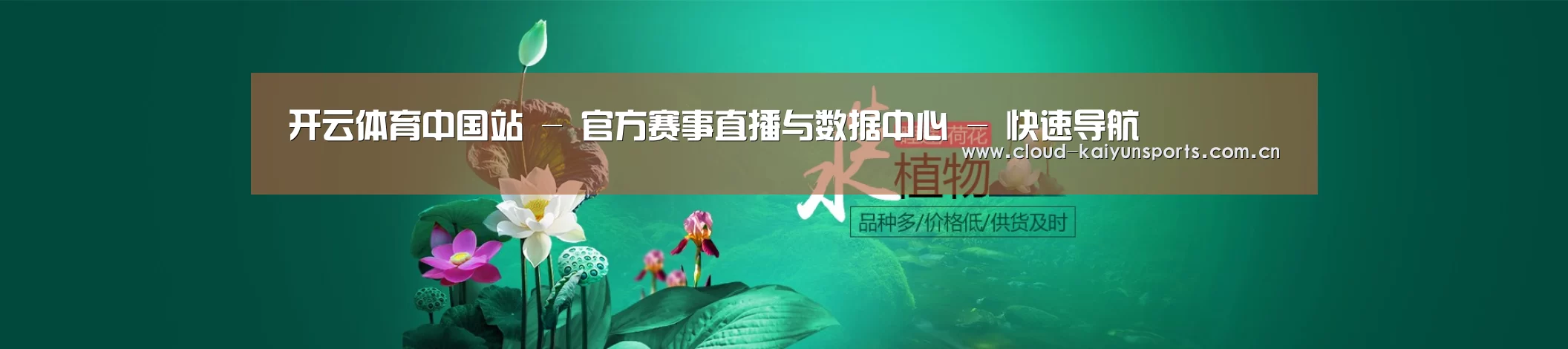 鲜花水草花卉网站模板