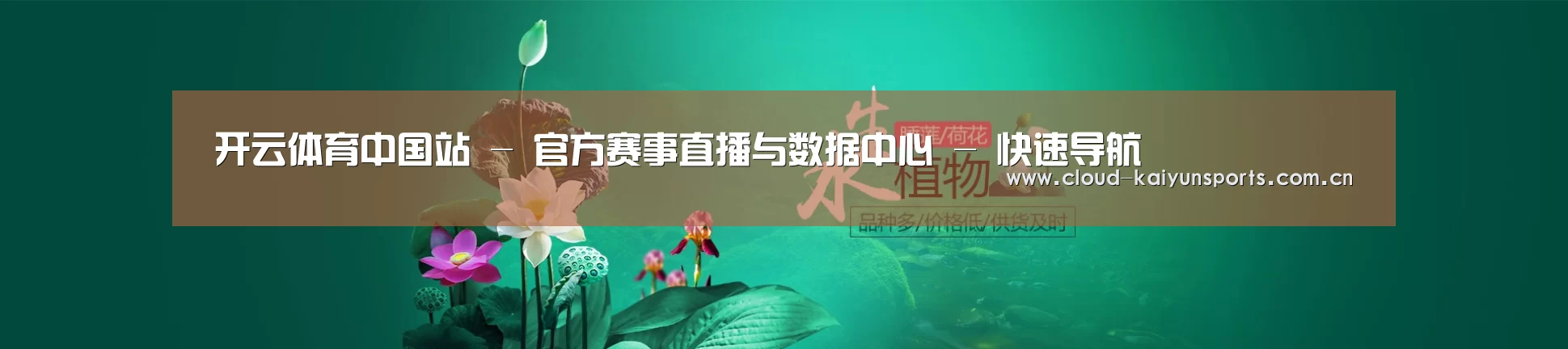 鲜花水草花卉网站模板