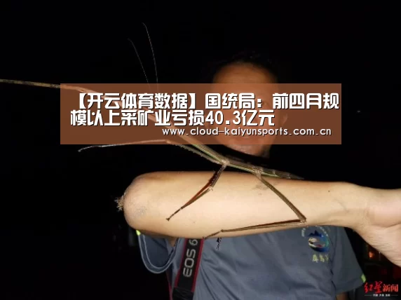【开云体育数据】国统局:前四月规模以上采矿业亏损40.3亿元