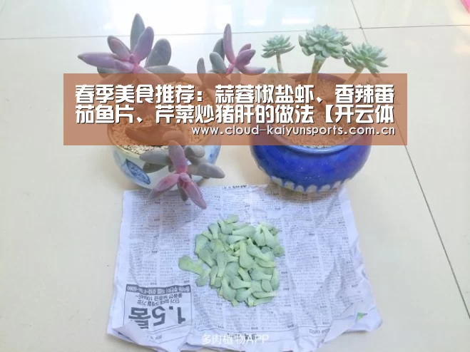 开云体育数据