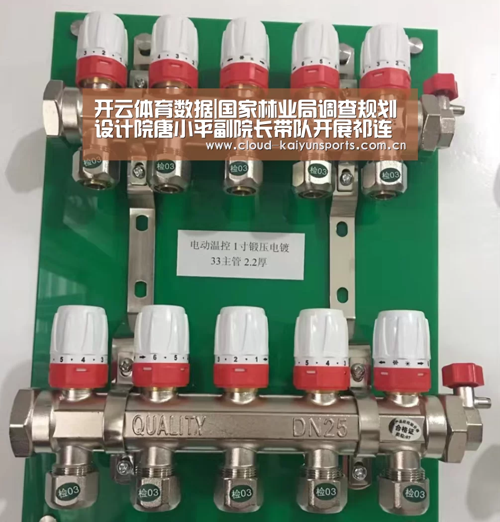 开云体育数据