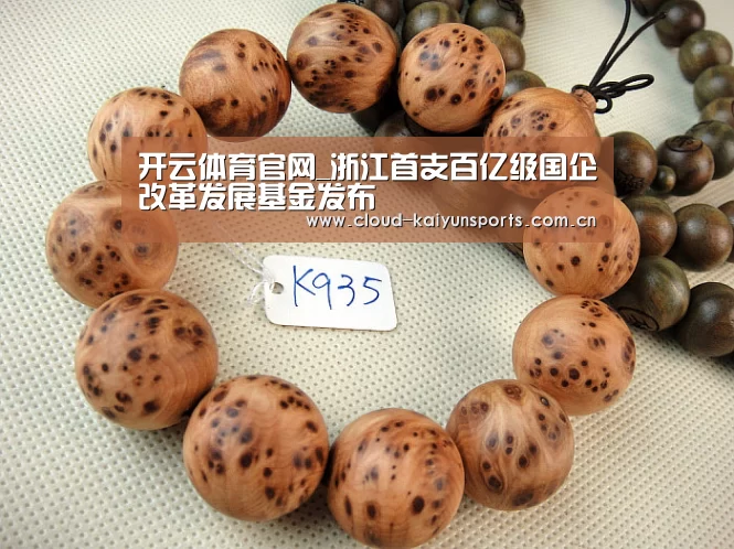 开云体育官网_浙江首支百亿级国企改革发展基金发布