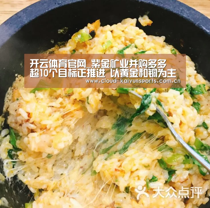 开云体育官网_紫金矿业并购多多 超10个目标正推进 以黄金和铜为主(图2) 开云体育首页