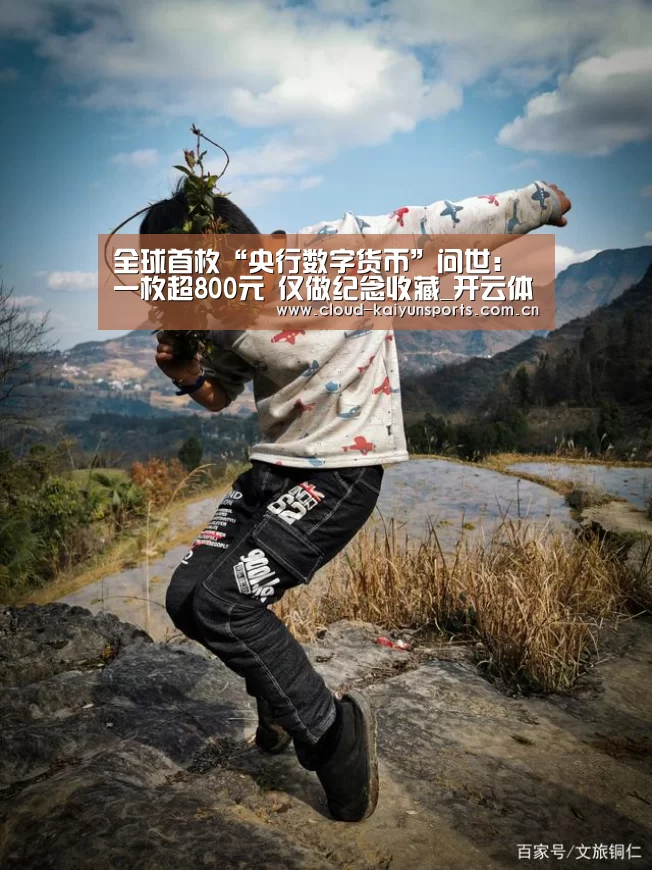 开云体育数据