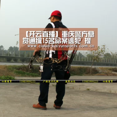 开云体育数据