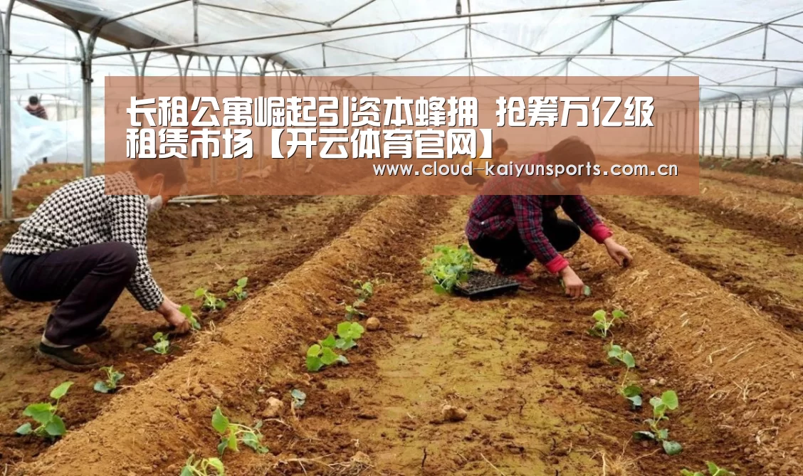开云体育首页