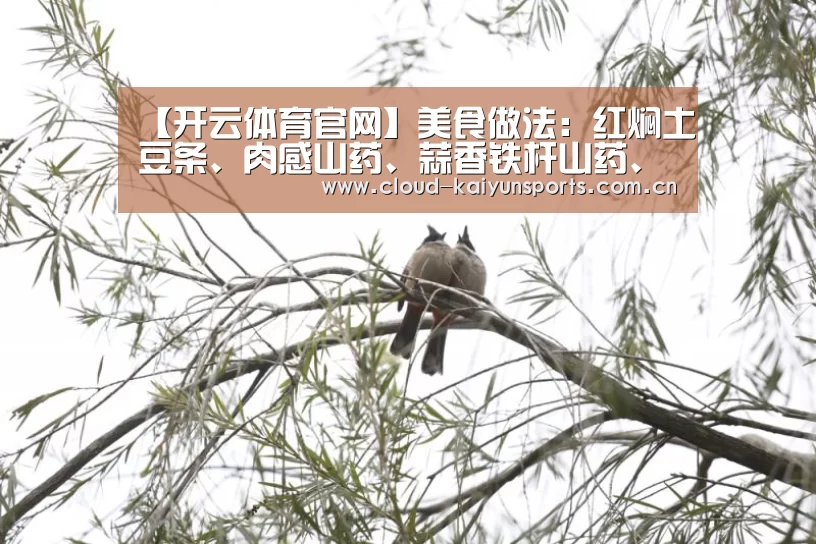 开云直播