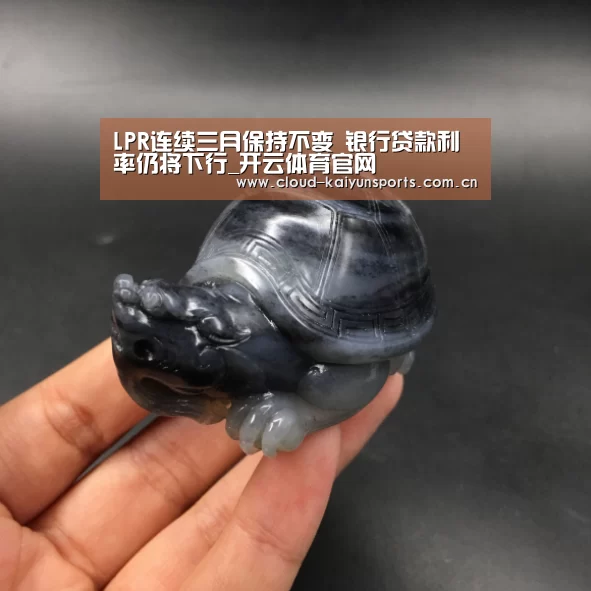开云体育官网