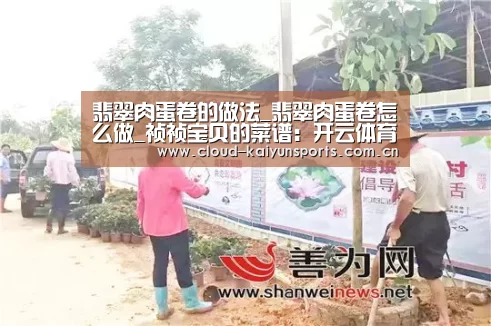 开云体育官网