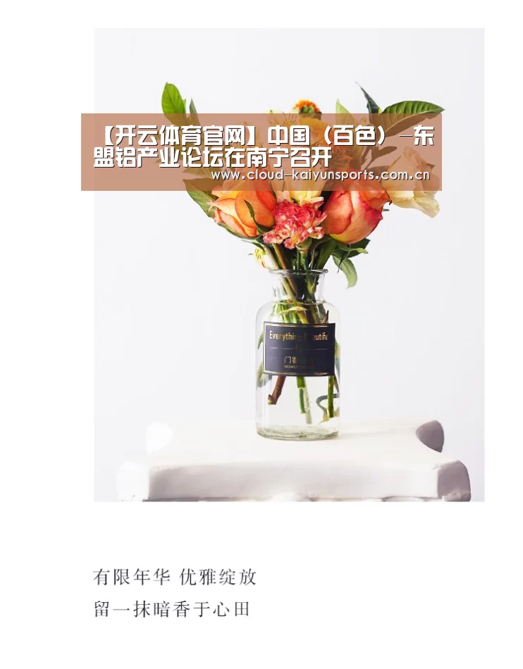 【开云体育官网】中国(百色)-东盟铝产业论坛在南宁召开