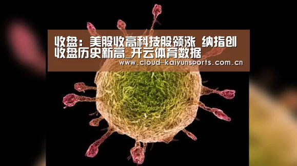 开云体育数据