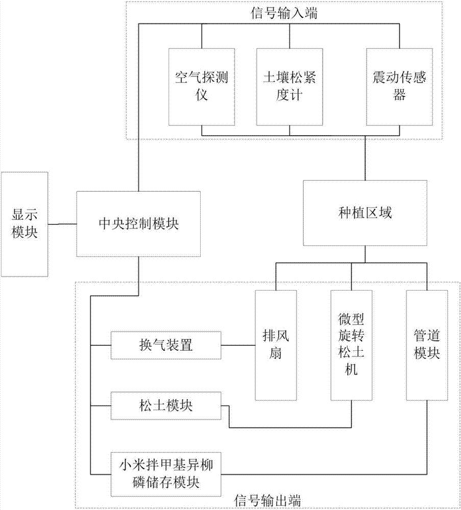 开云体育首页
