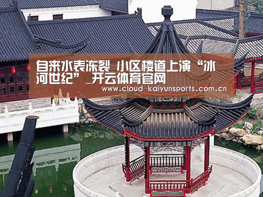 开云体育官网