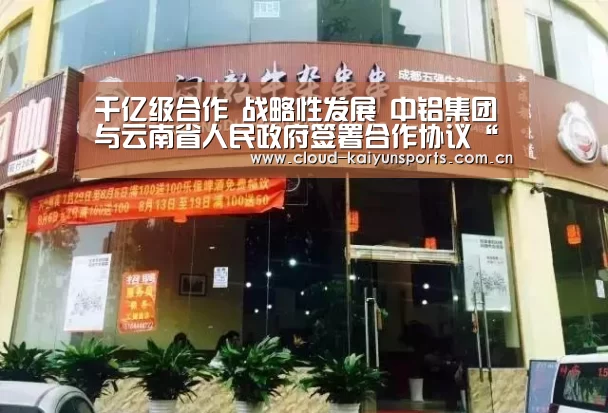 千亿级合作 战略性发展 中铝集团与云南省人民政府签署合作协议“开云直播”(图2) 开云体育数据