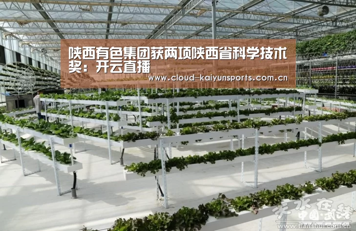 陕西有色集团获两项陕西省科学技术奖:开云直播(图2) 开云体育官网
