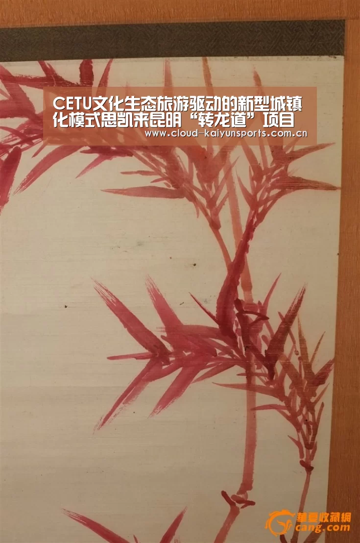 开云体育首页